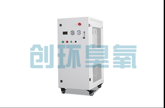 衢州工厂化养鲈必看:2026年臭氧发生器替代传统消毒的最新方案