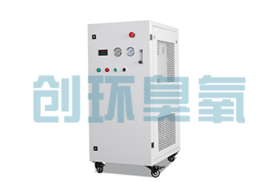 衢州石斑鱼养殖水质调控完整指南:臭氧发生器配置与操作步骤