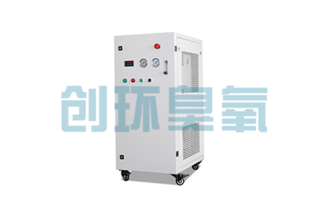 衢州比传统换水更高效?臭氧发生器在石斑鱼养殖中的水质净化原理解析