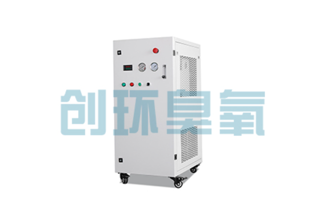 衢州比传统换水更高效?臭氧发生器在石斑鱼养殖中的水质净化原理解析